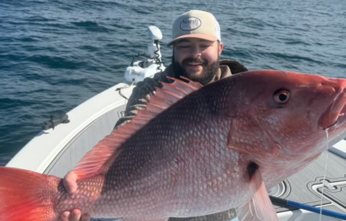 Redfish 500x320
