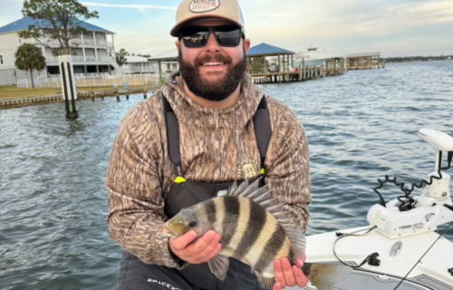 stripe fish 500x320